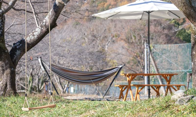 ピクニックエリア