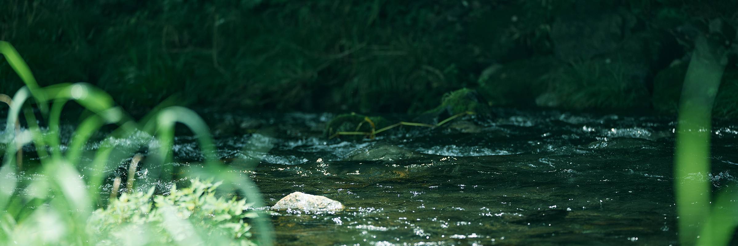 COMORIVERのギャラリー