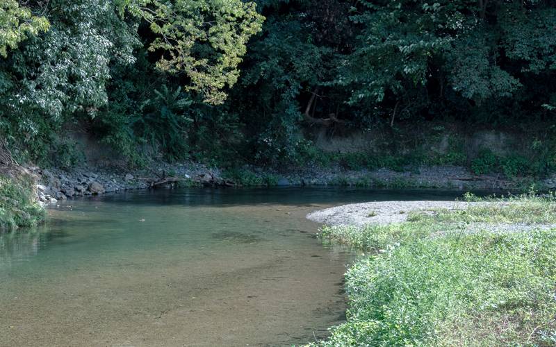 河原でキャンプ